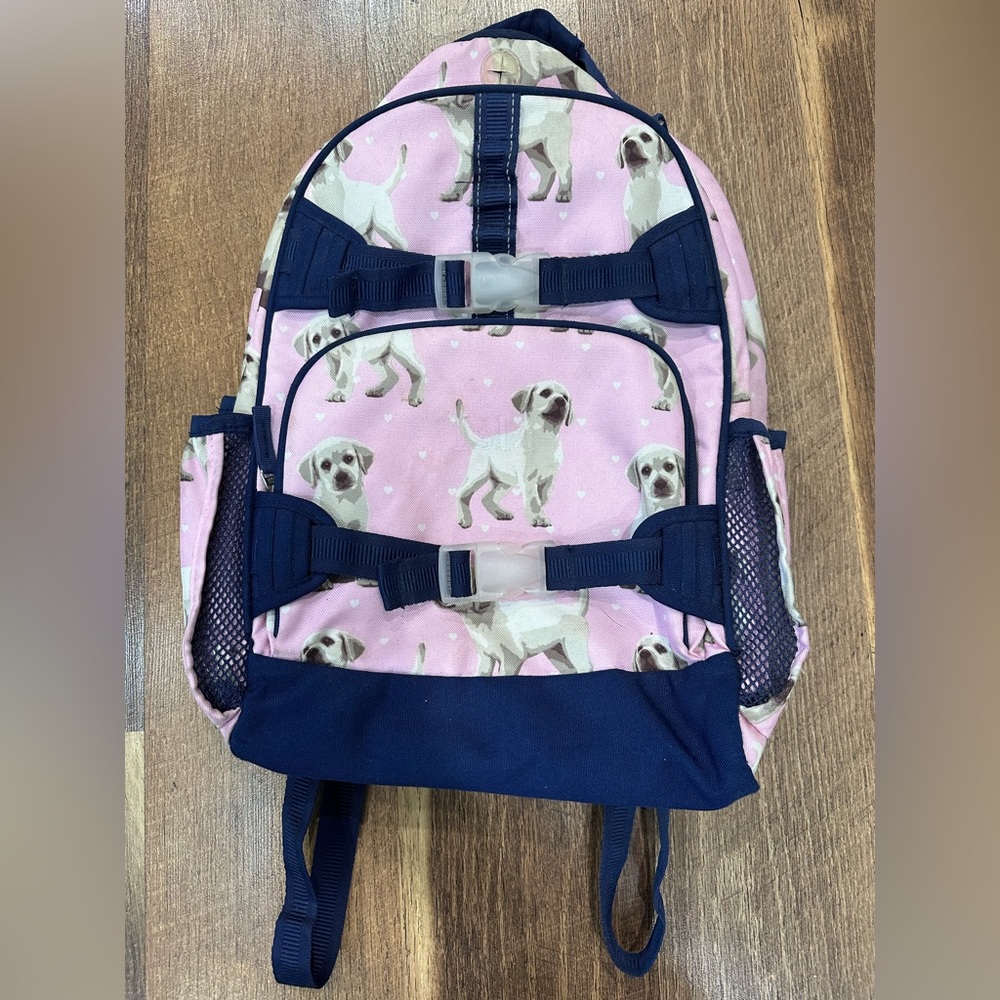 Pottery Barn Kids Backpack, preschool